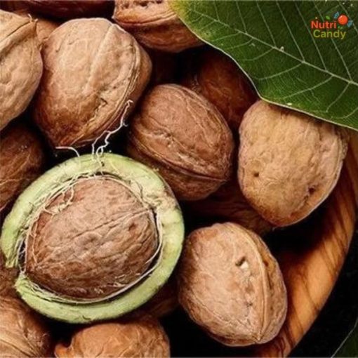 hạt óc chó