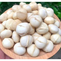 hạt macca