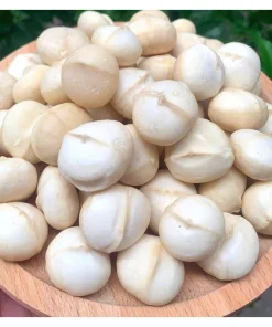 hạt macca