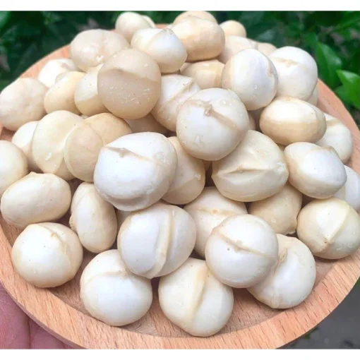 hạt macca
