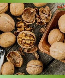 hạt óc chó